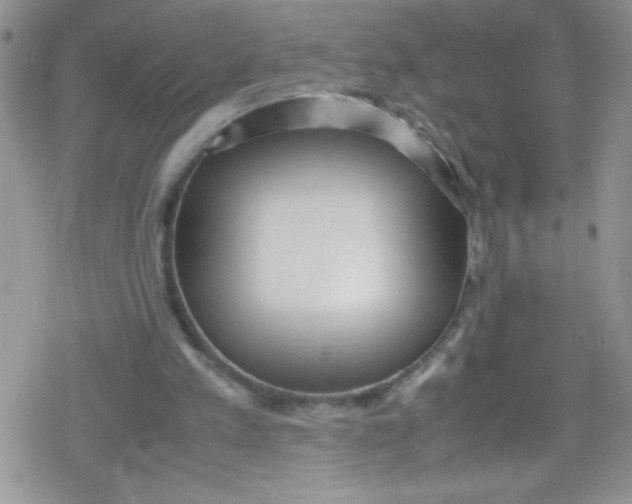 X0000079340197200612082033