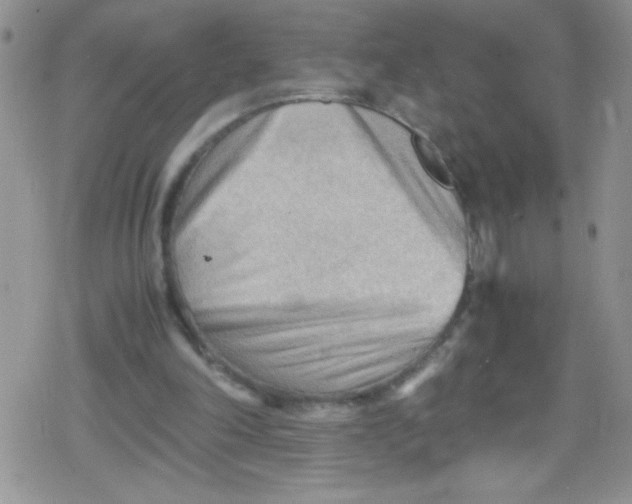 X0000079340198200612082033