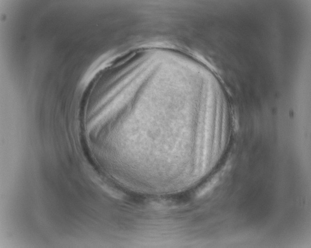 X0000079340199200612082033