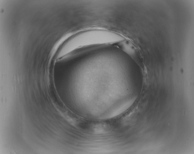 X0000079340200200612082033