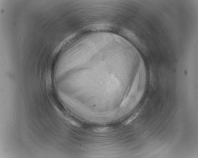 X0000079340202200612082033