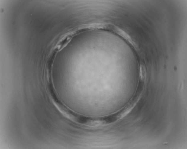 X0000079340205200612082032