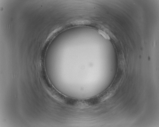 X0000079340207200612082032