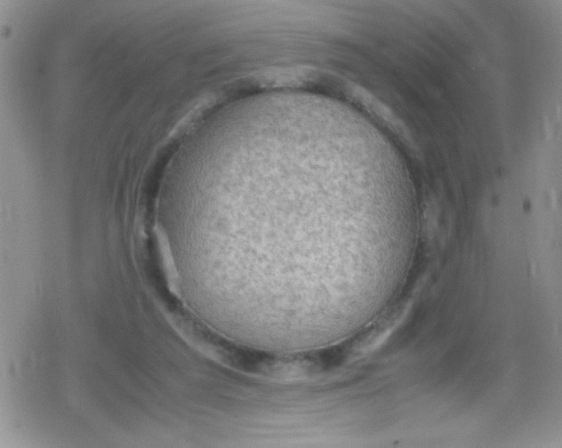 X0000079340209200612082032