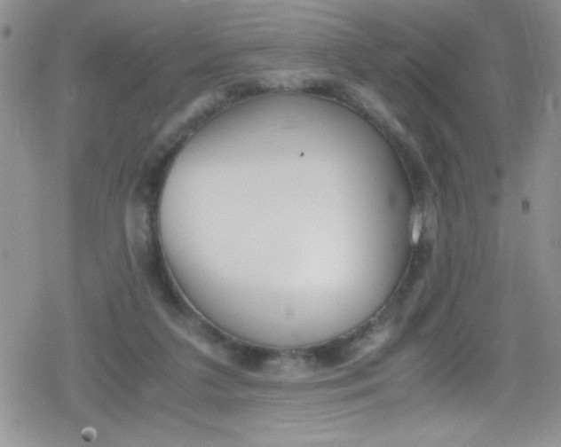 X0000079340211200612082032