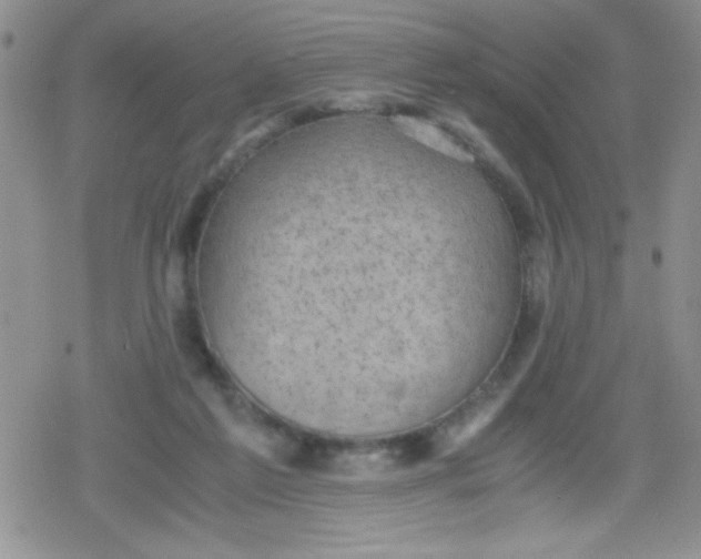 X0000079340213200612082032