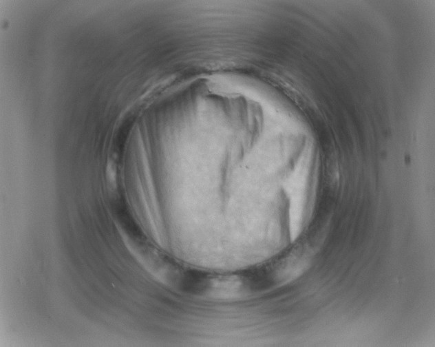 X0000079340214200612082032