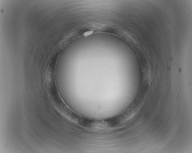 X0000079340215200612082032