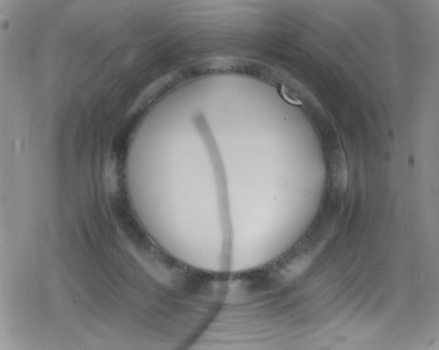 X0000079340216200612082032