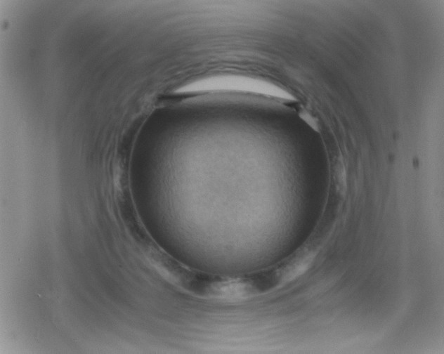 X0000079340219200612082032