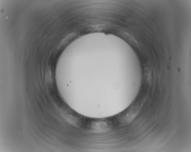 X0000079340220200612082032