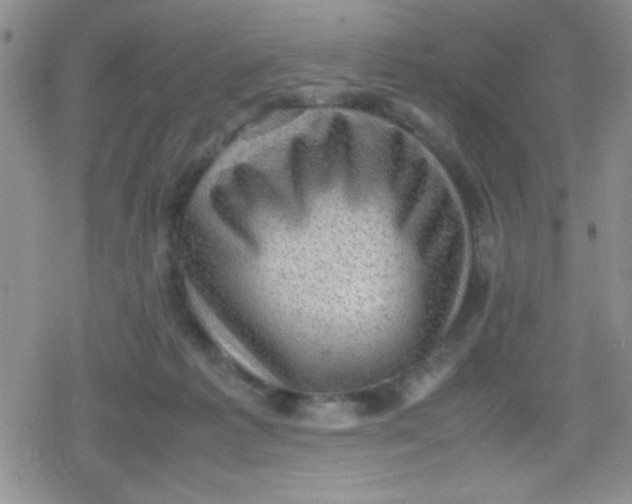 X0000079340221200612082032