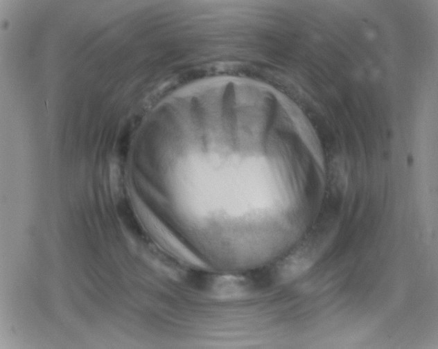 X0000079340222200612082032