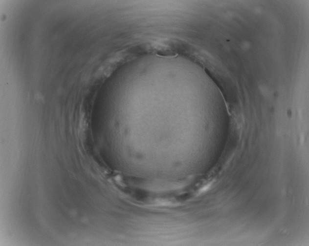 X0000079340223200612082032