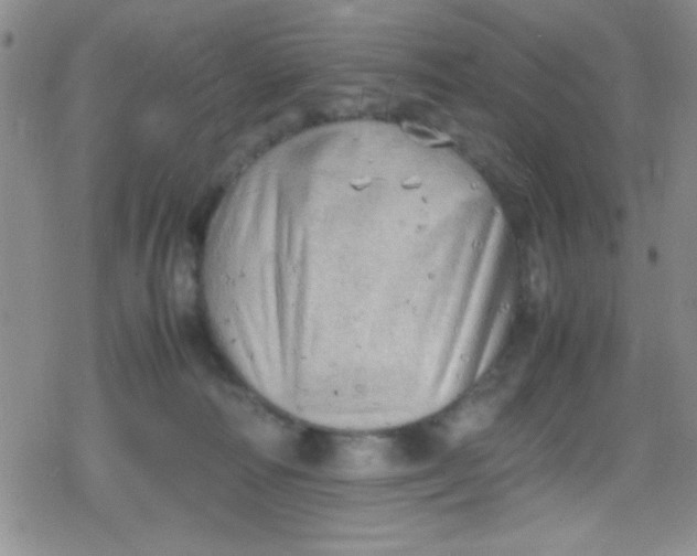 X0000079340226200612082032