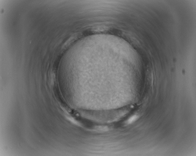 X0000079340227200612082032