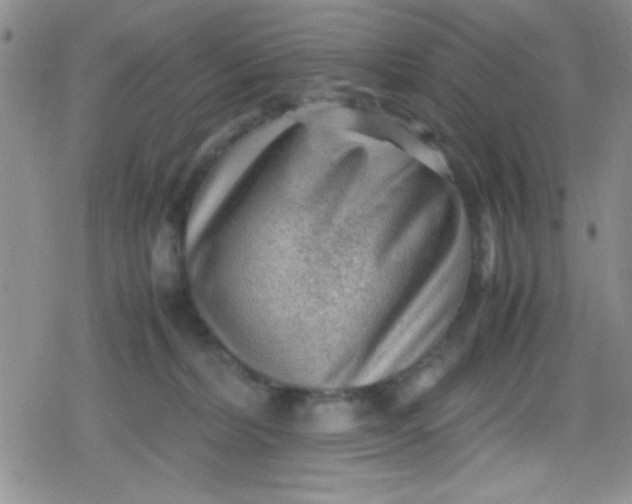 X0000079340228200612082032