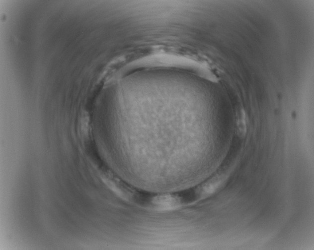 X0000079340231200612082032