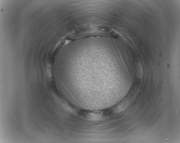 X0000079340232200612082032