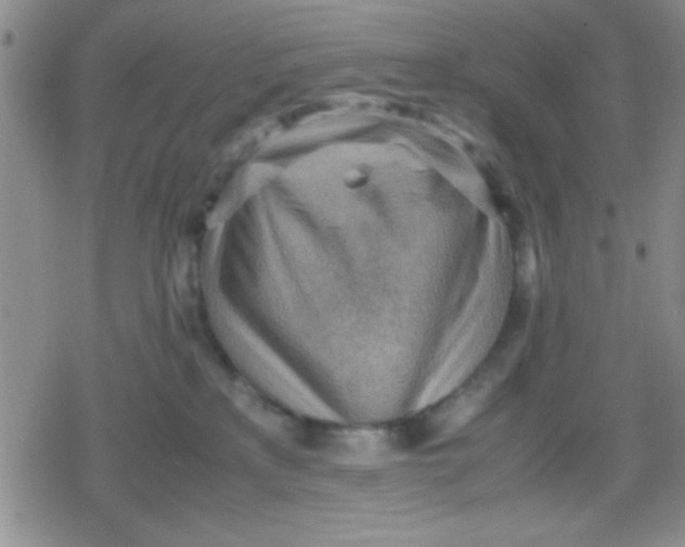 X0000079340233200612082032