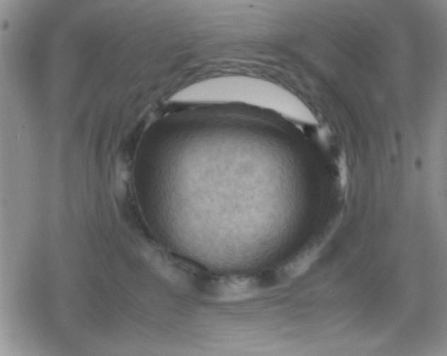 X0000079340235200612082032