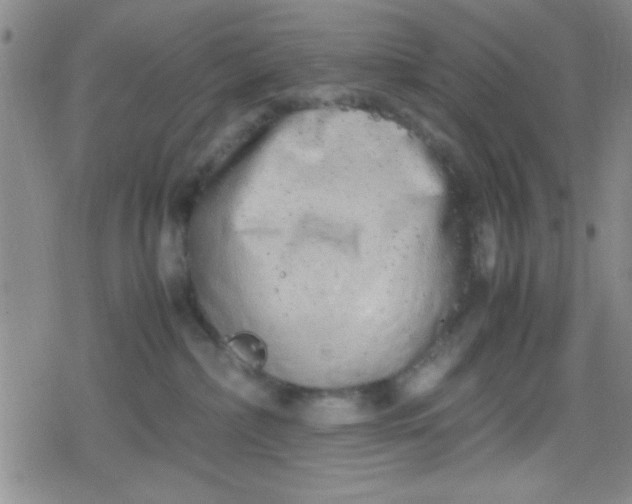 X0000079340236200612082032