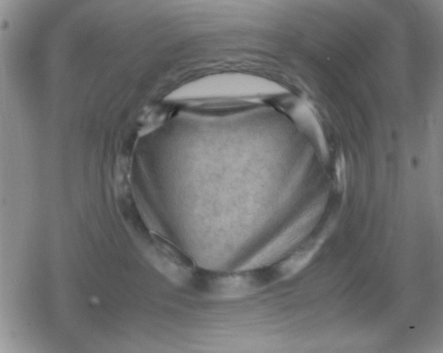 X0000079340237200612082032