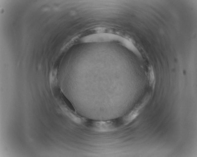 X0000079340239200612082032