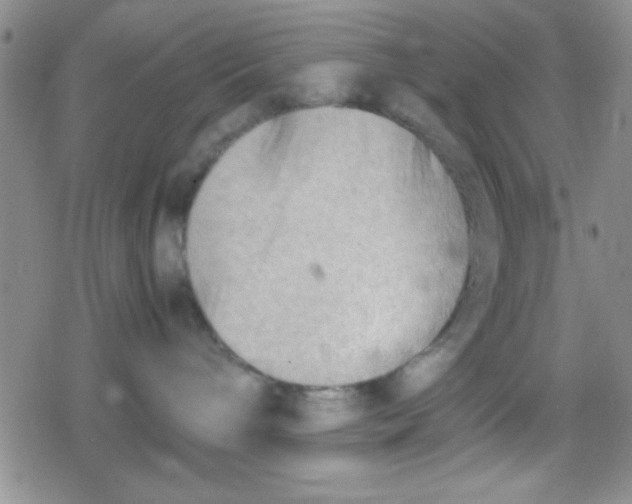 X0000079340240200612082032