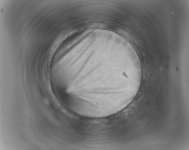 X0000079340241200612082031