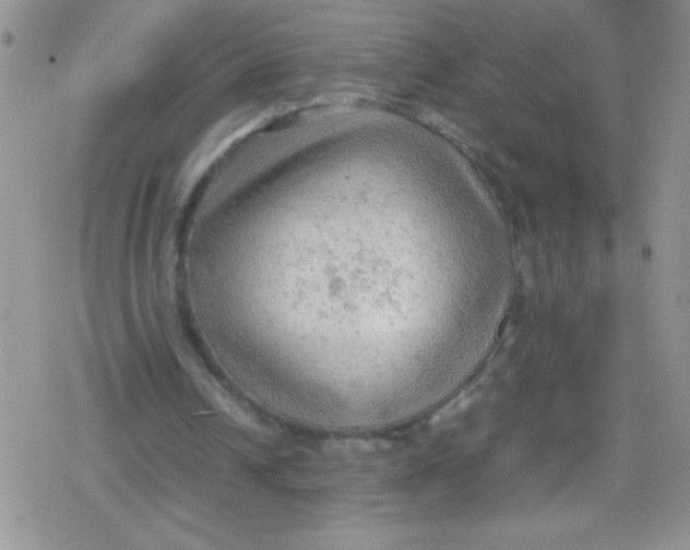 X0000079340242200612082031