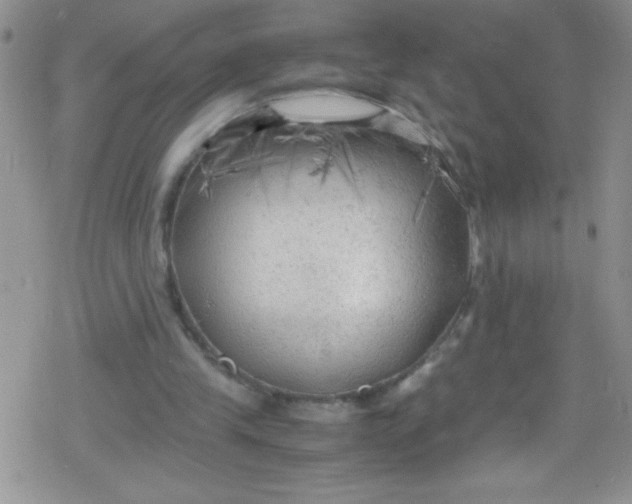 X0000079340245200612082031