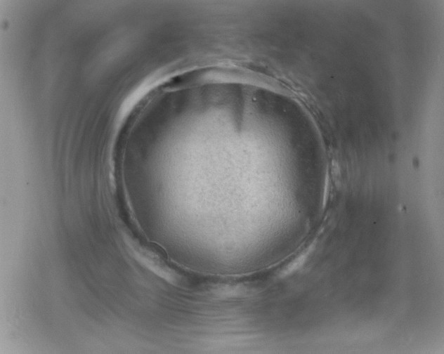 X0000079340246200612082031