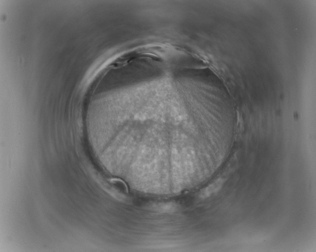 X0000079340247200612082031