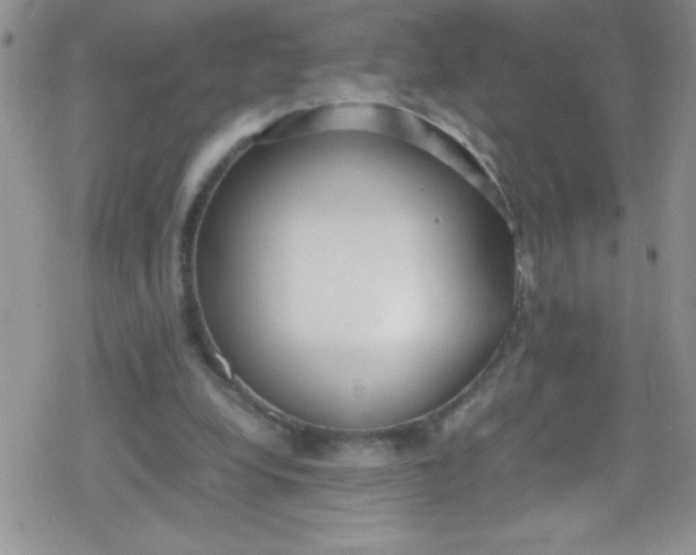 X0000079340248200612082031