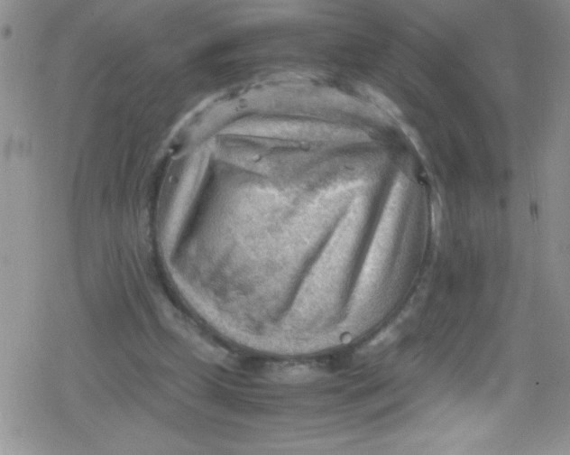 X0000079340249200612082031