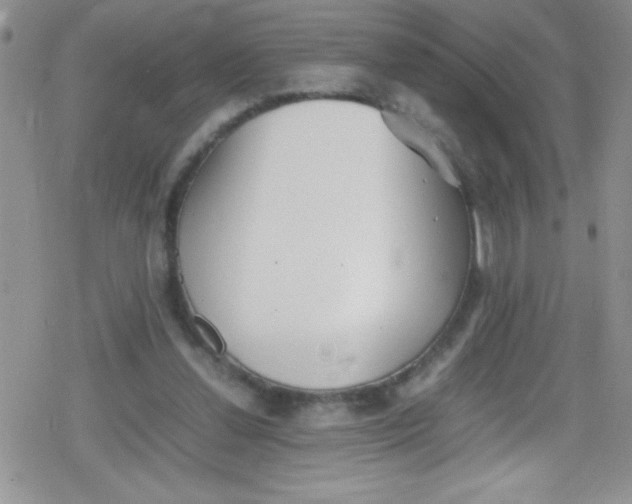 X0000079340252200612082031