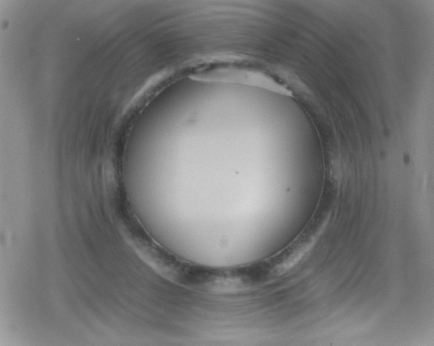 X0000079340256200612082031