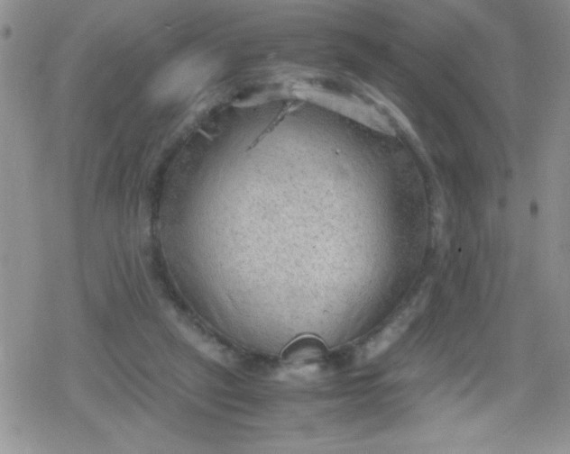 X0000079340257200612082031