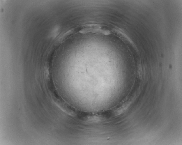 X0000079340259200612082031