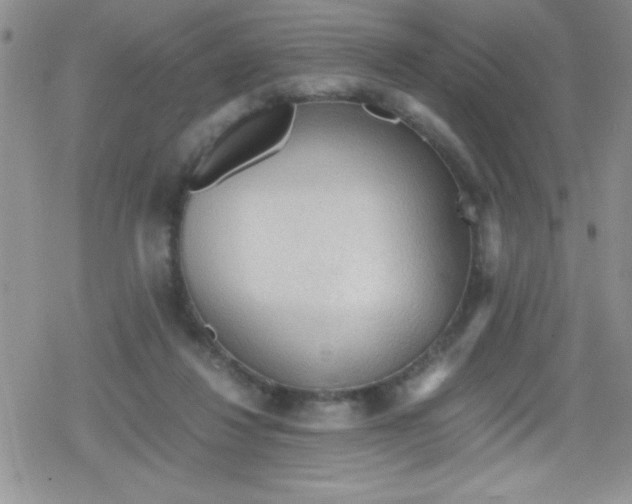 X0000079340260200612082031