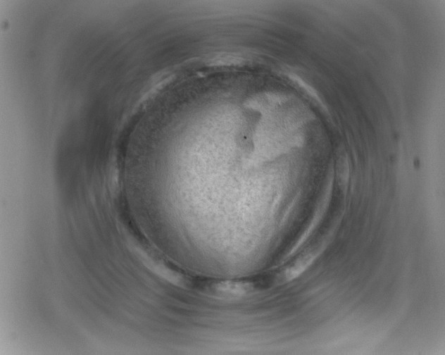 X0000079340261200612082031