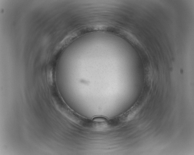 X0000079340262200612082031