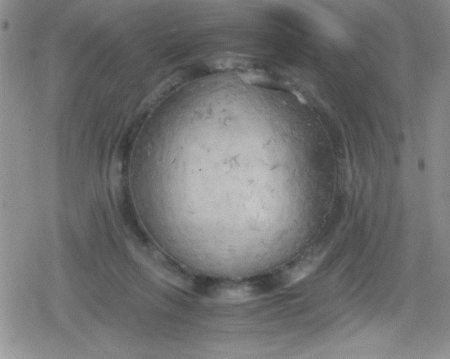 X0000079340263200612082031