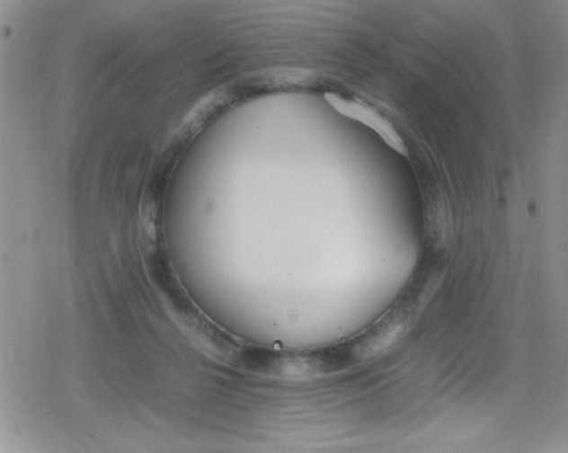 X0000079340264200612082031