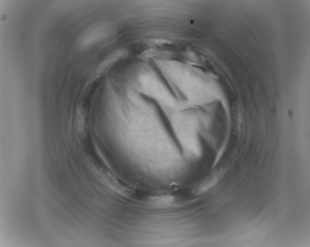 X0000079340266200612082032