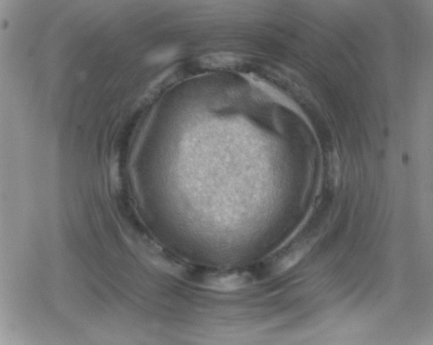 X0000079340267200612082032