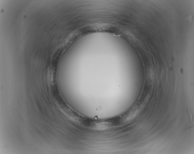 X0000079340268200612082032