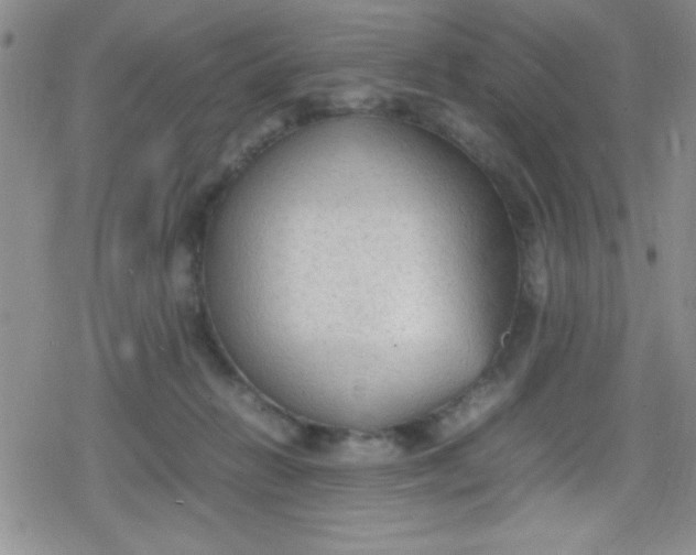 X0000079340270200612082032