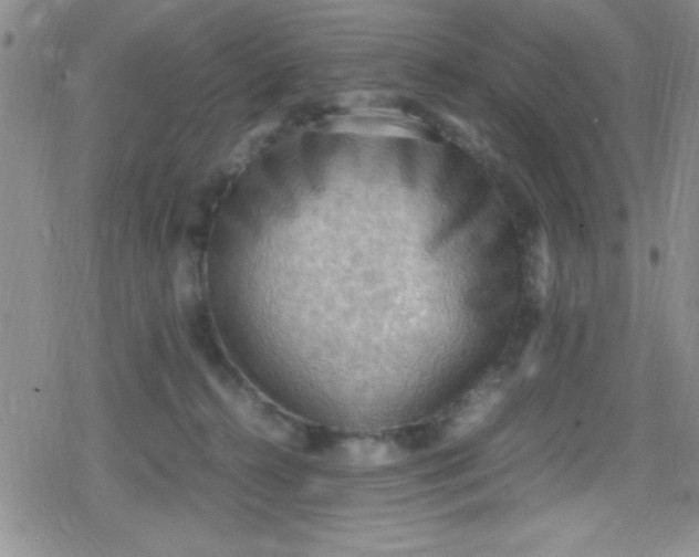 X0000079340272200612082032